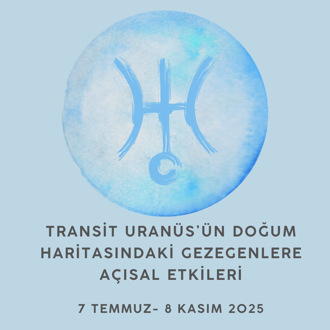 blog-image
