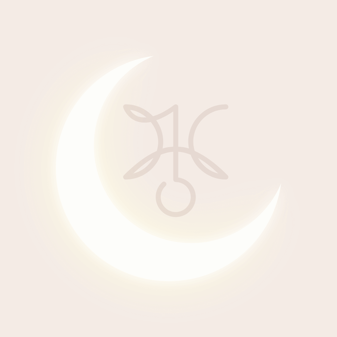 blog-image
